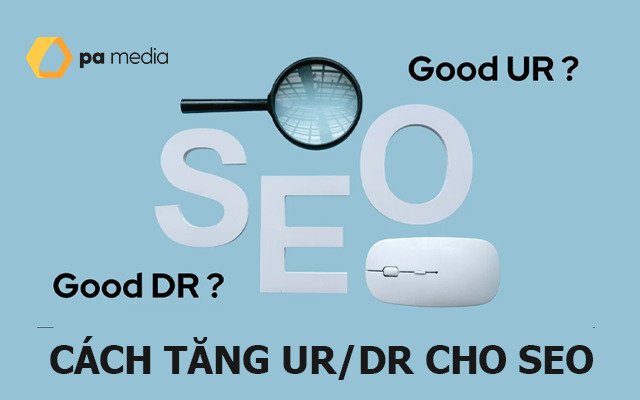Chỉ số DR trong Seo là gì? Cách tăng điểm DR hiệu quả nhất?