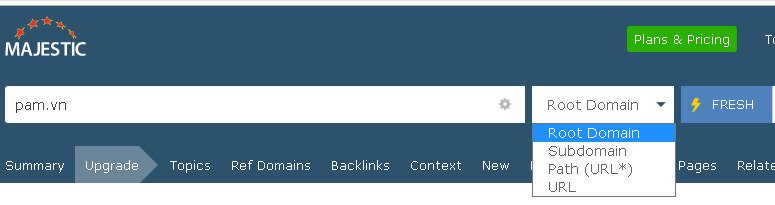 trang-kiem-tra-subdomain-majesctic-seo