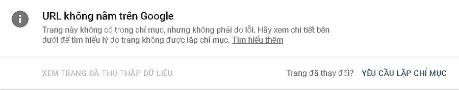 url-khong-nam-tren-google