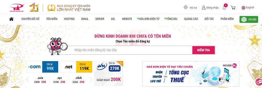 pavietnam-nha-cung-cap-ten-mien