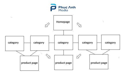 seo-khong-link-co-ton-tai-khong