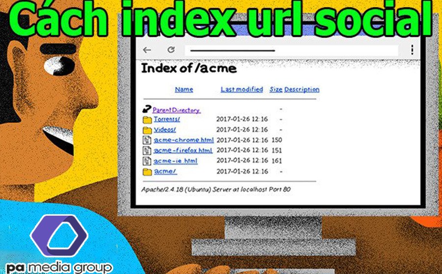 cach-index-url-social-entity-seo