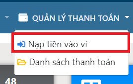 nap-tien-vao-vi-2