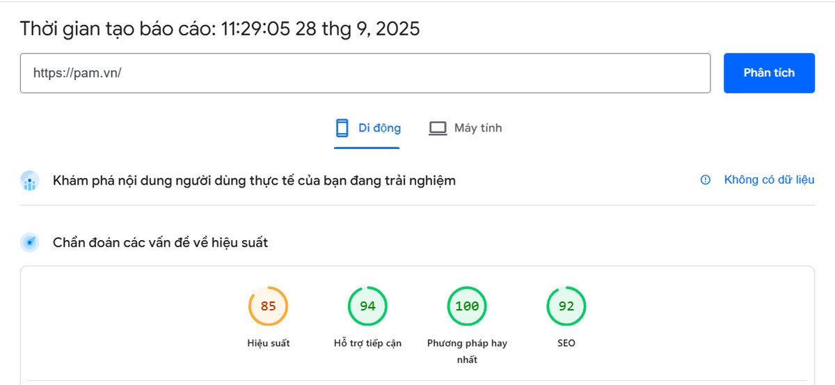 check-toc-do-website