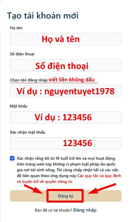 505469715-1791358731763031-7817163446335600470-n