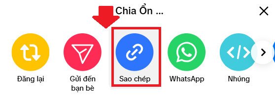 sao-chep-link-tiktok