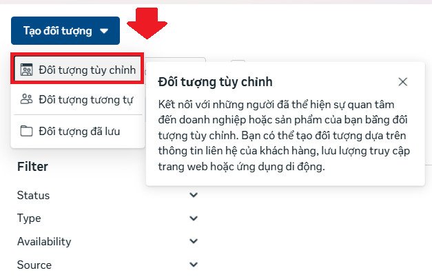 doi-tuong-tuy-chinh-1