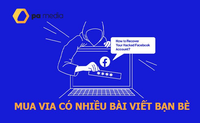 mua-via-co-nhieu-bai-viet